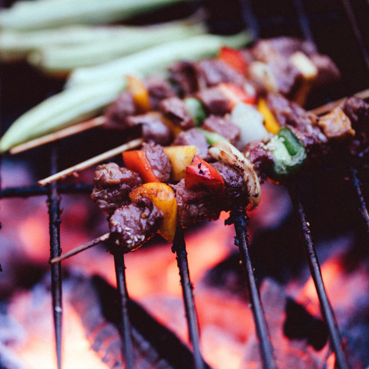 Bamboo skewers on the grill