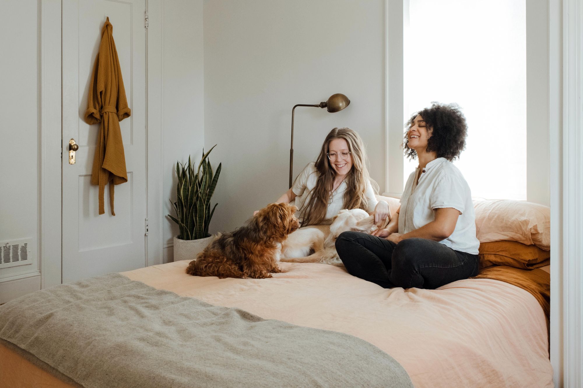 Women petting dog on bed; bamboo floor lamps