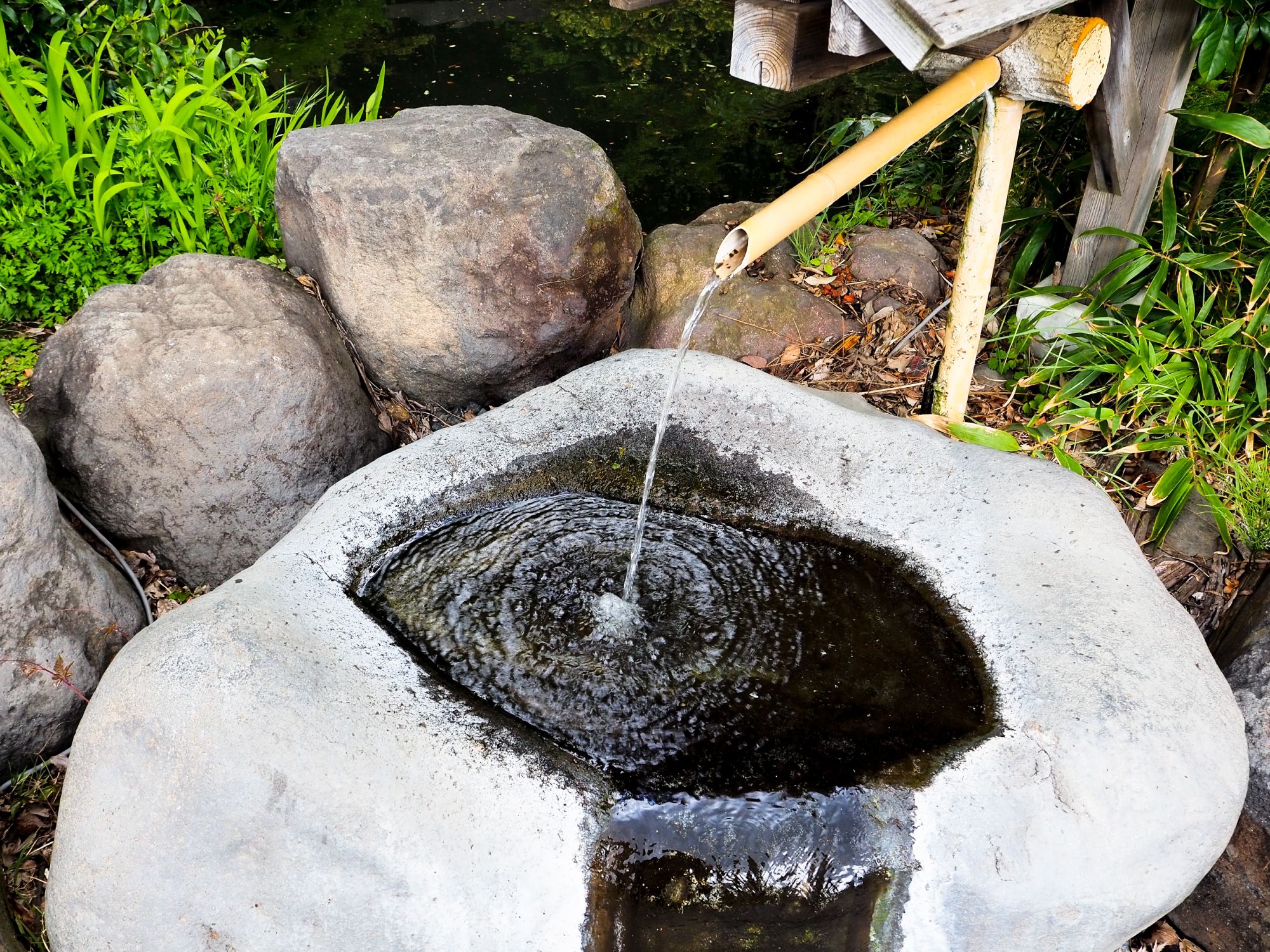 Simple bamboo water fountain in yard